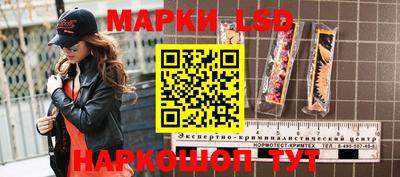 трава Гатчина