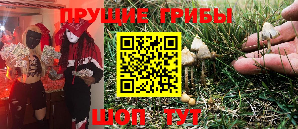 Минусинск  Галлюциногенные грибы Cubensis  Вход с VPN 